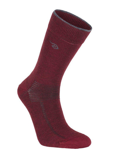 4100007018_Woolsock_018_1